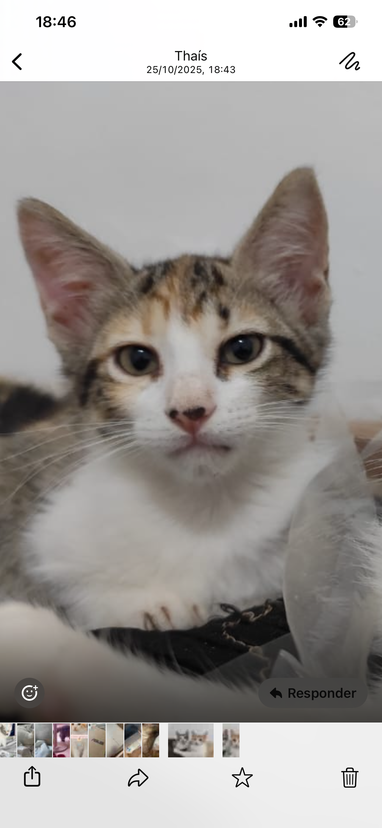 Larissa
